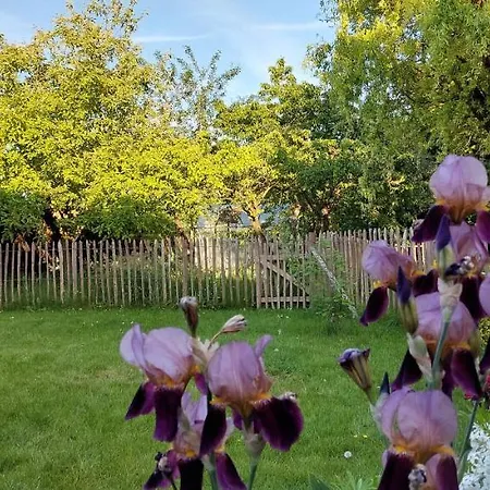 Holiday home Au Coquelicot : Cosy Pour 8 Pers. Avec Jardin *